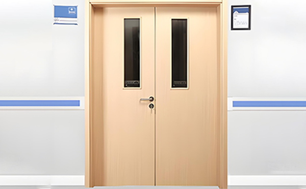 沙依巴克医用门